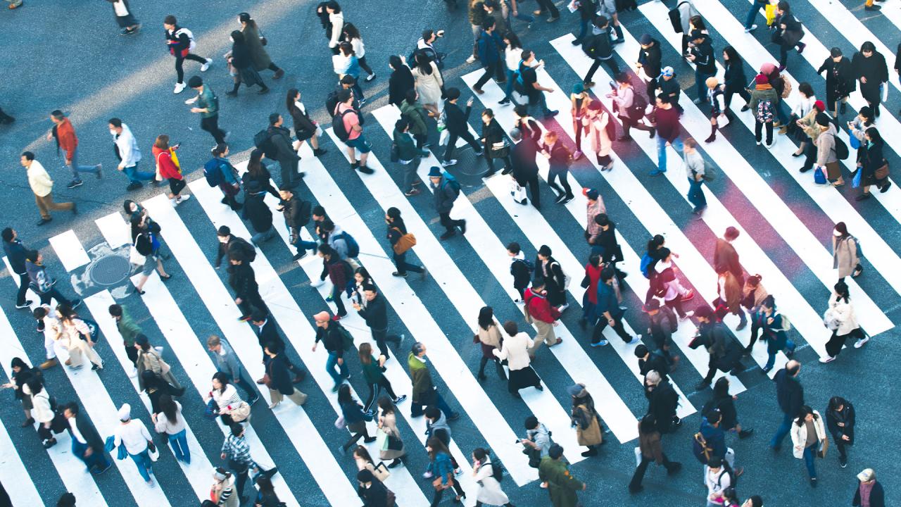 As World Population Exceeds 8 Billion, Declining Fertility Rates Turn into a Global Crisis