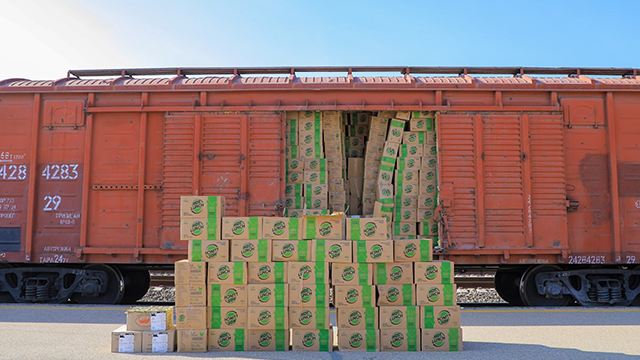 Uzbekistan has sent a "health train" with humanitarian aid to Afghanistan